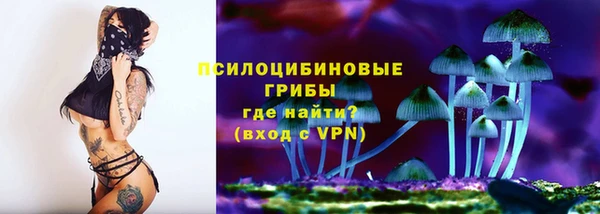 марки nbome Нязепетровск