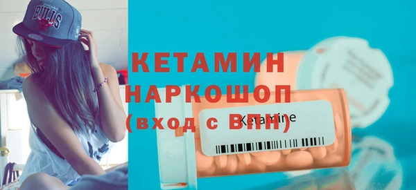 индика Новодвинск