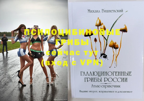 марки nbome Нязепетровск