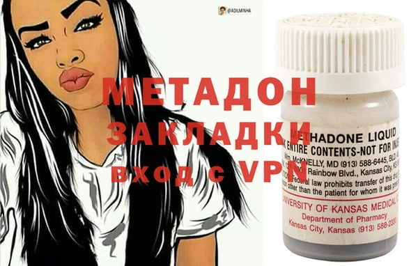 индика Новодвинск